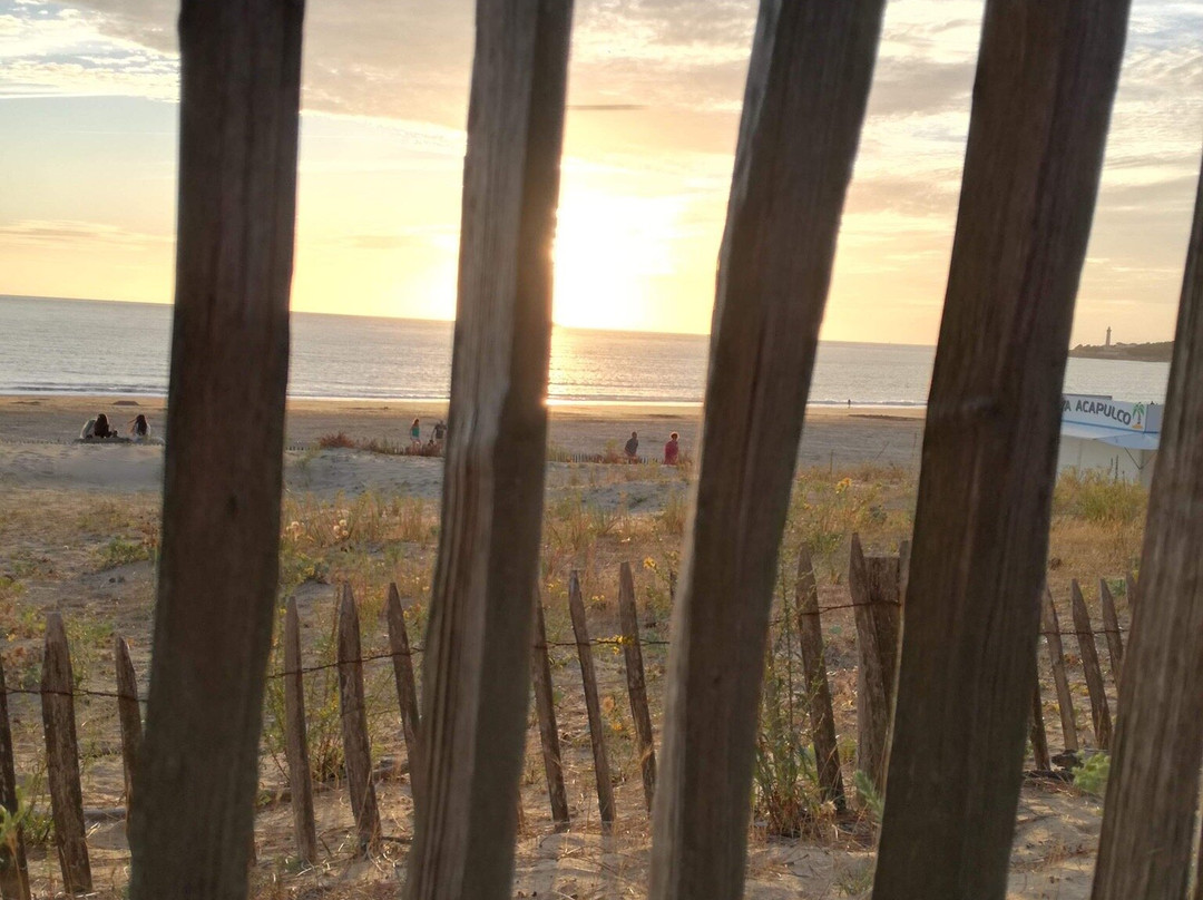 La Serpauderie主图