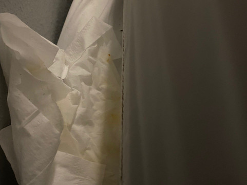 Wingate by Wyndham Mobile主图