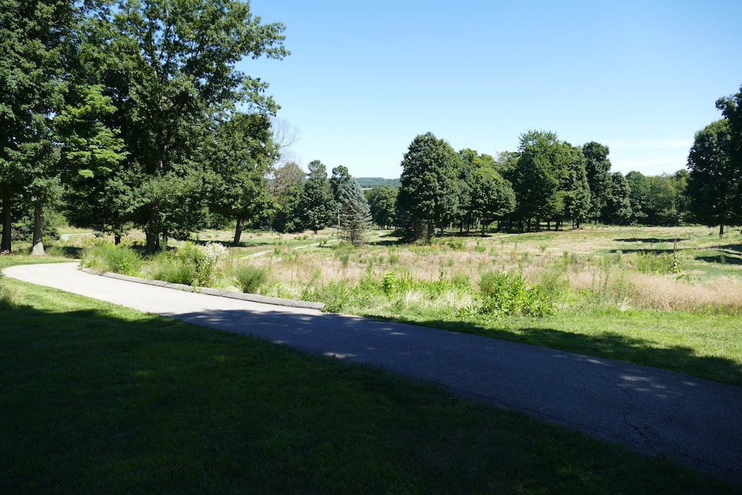 Veteran Legacy Woods Park景点图片