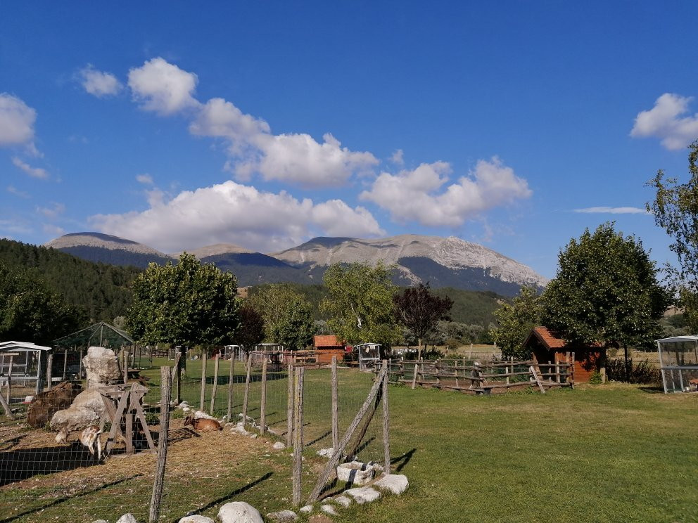La Fattoria degli Animali景点图片