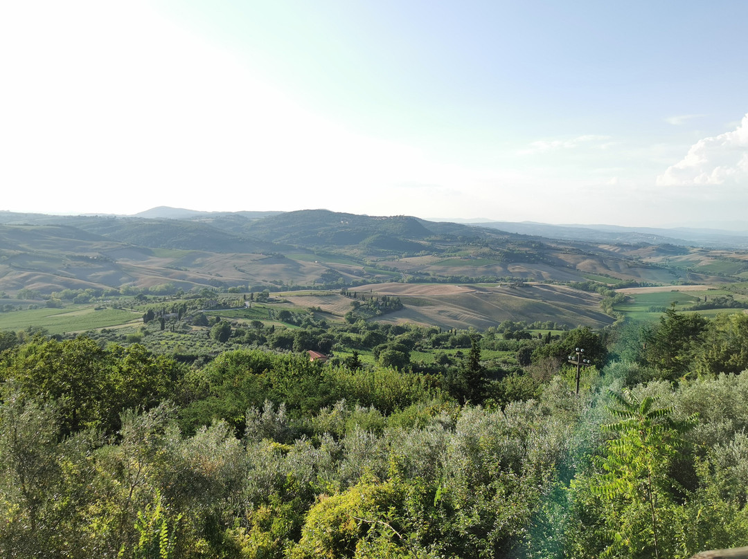 Fattoria San Martino主图