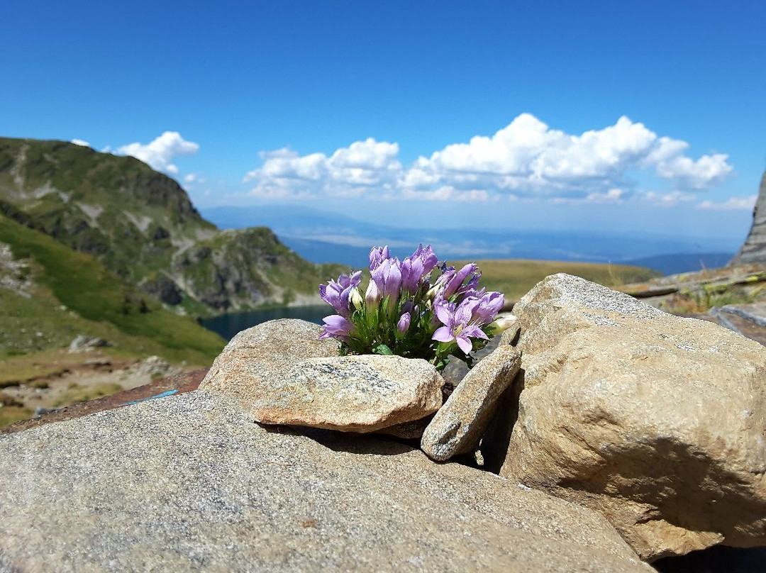 Rila Mountains-里拉必去景点