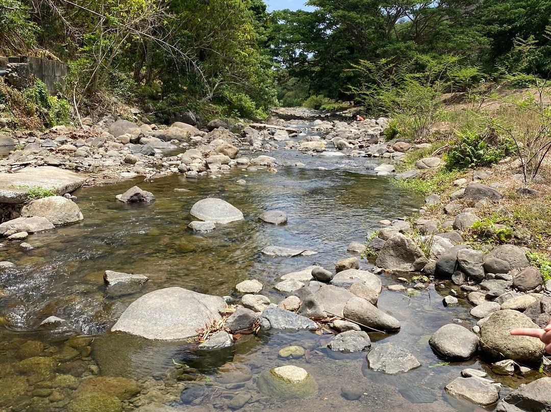 Cascade De La Riviere Carbet-Le Carbet必去景点