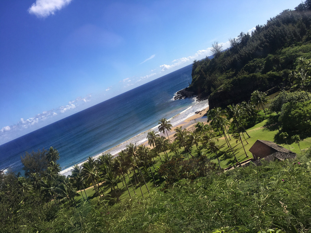 国家热带植物园-坡伊普必去景点