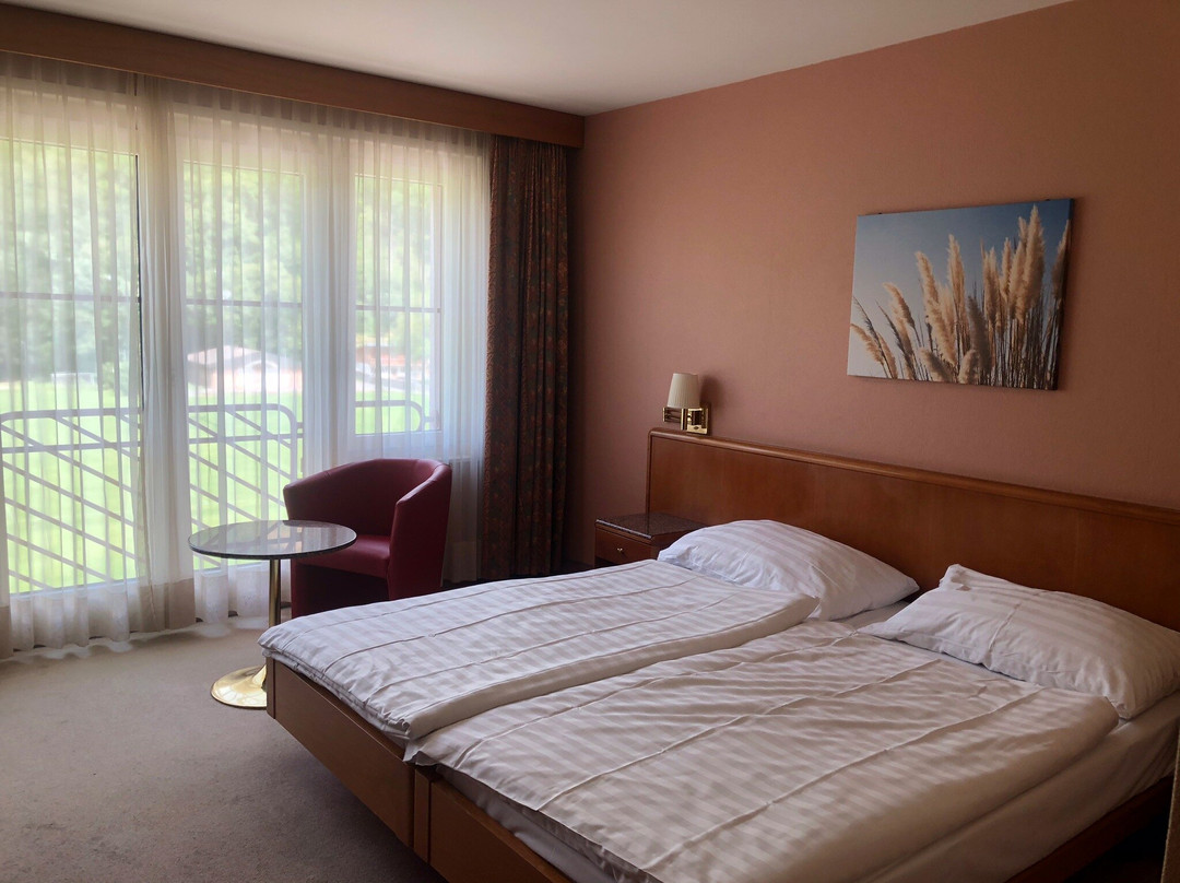 Hotel Le Cedre主图