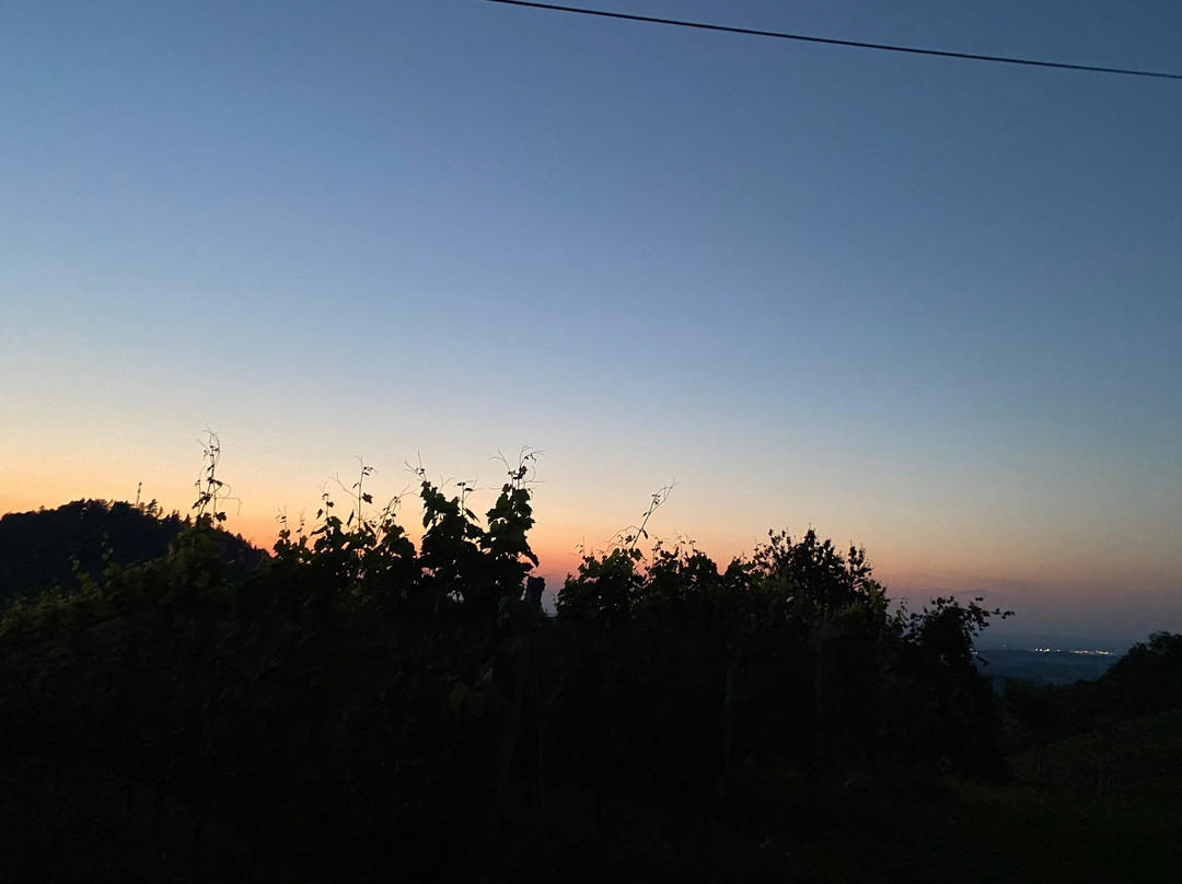 Weingut Wolfgang Maitz主图