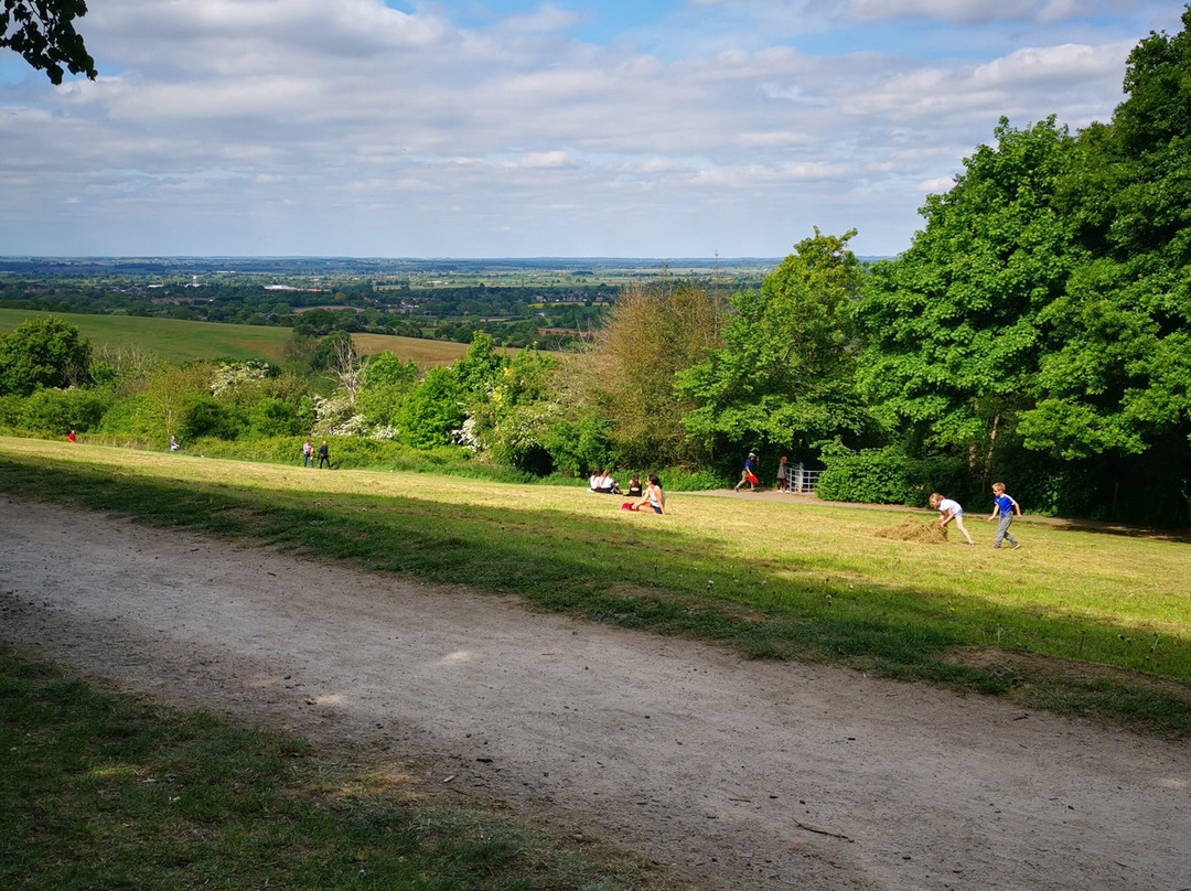 Hartshill Hayes Country Park-纽尼顿必去景点