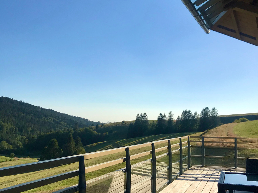 derWaldfrieden主图