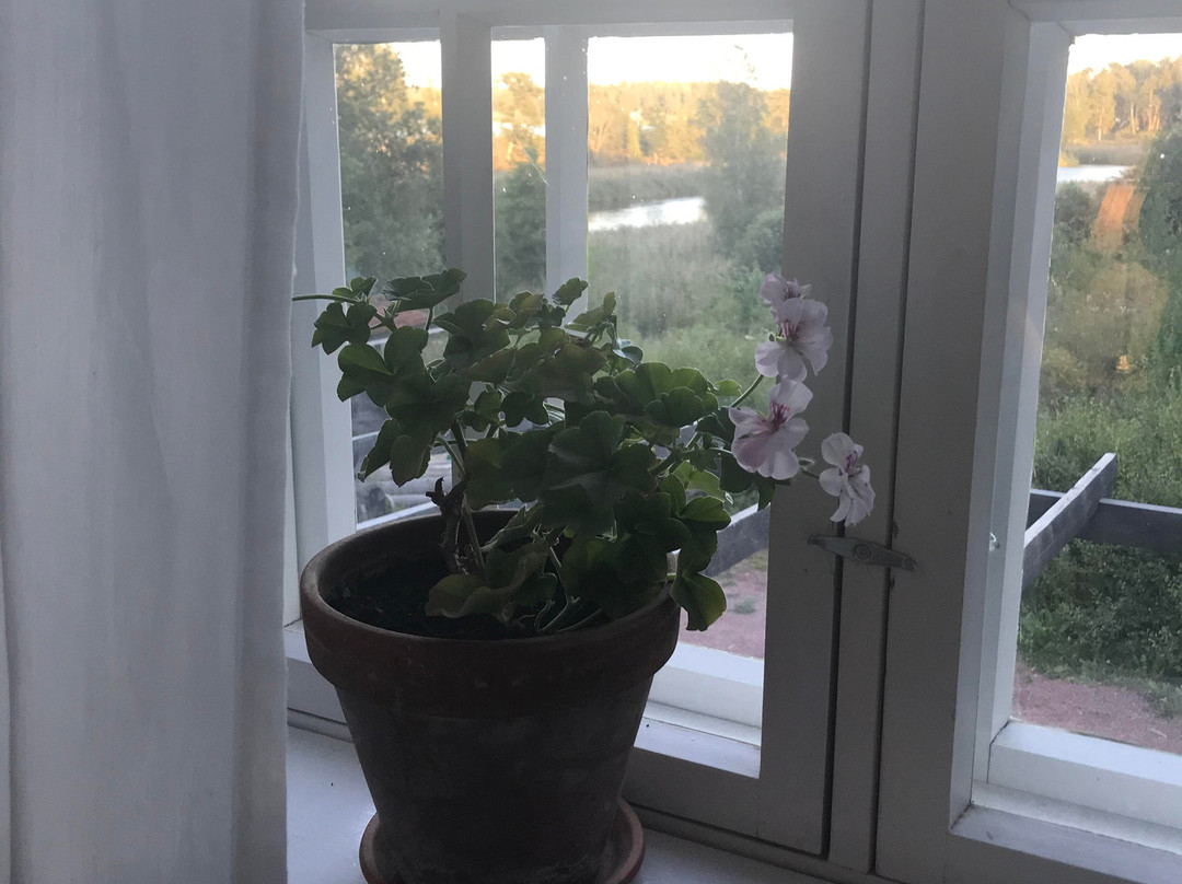 Brobacka Gästhem主图