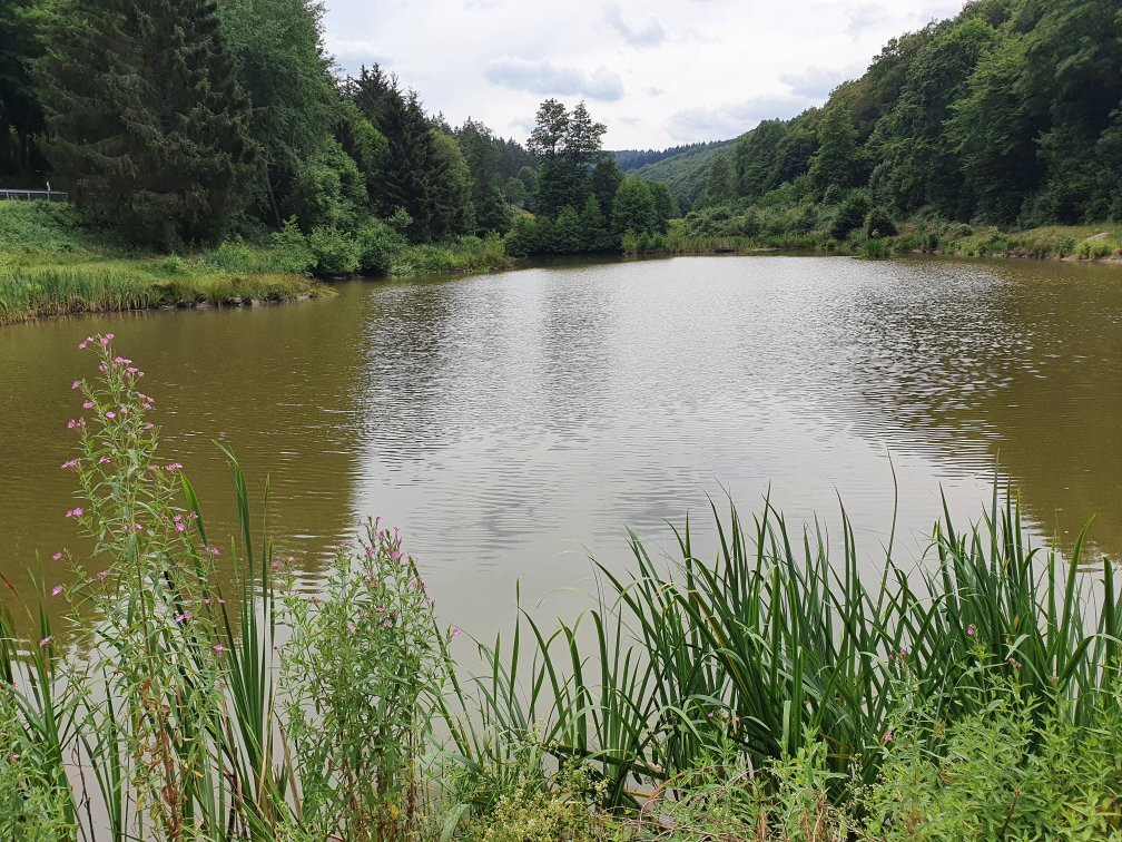 Taunus-Wichtel-Weg-Schmitten必去景点