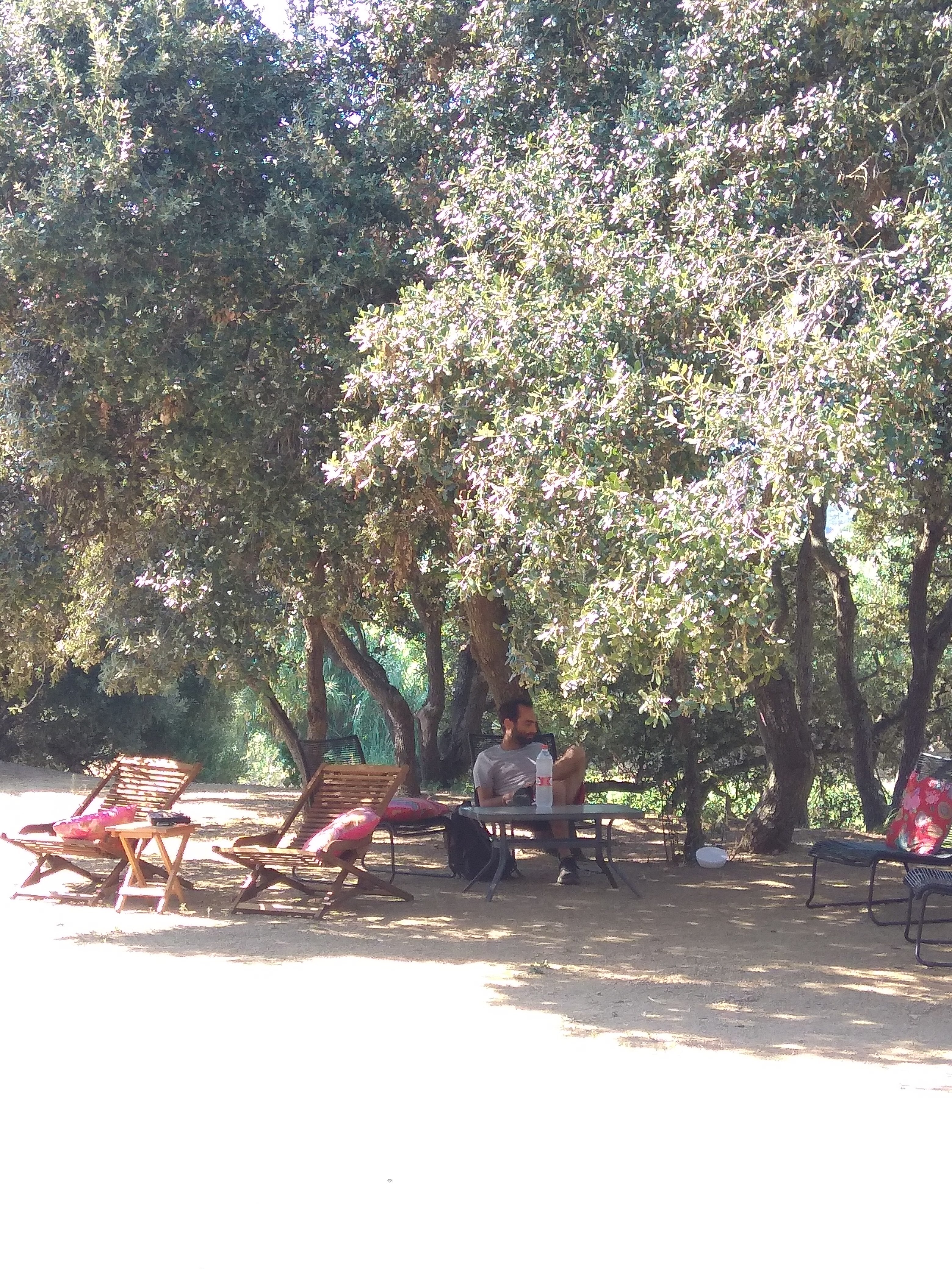 Hotel Mas Ribas-官方