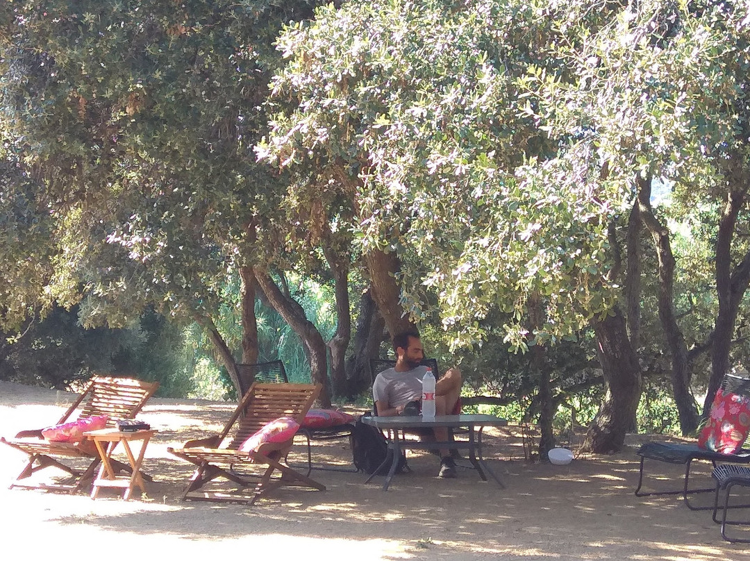 Hotel Mas Ribas主图