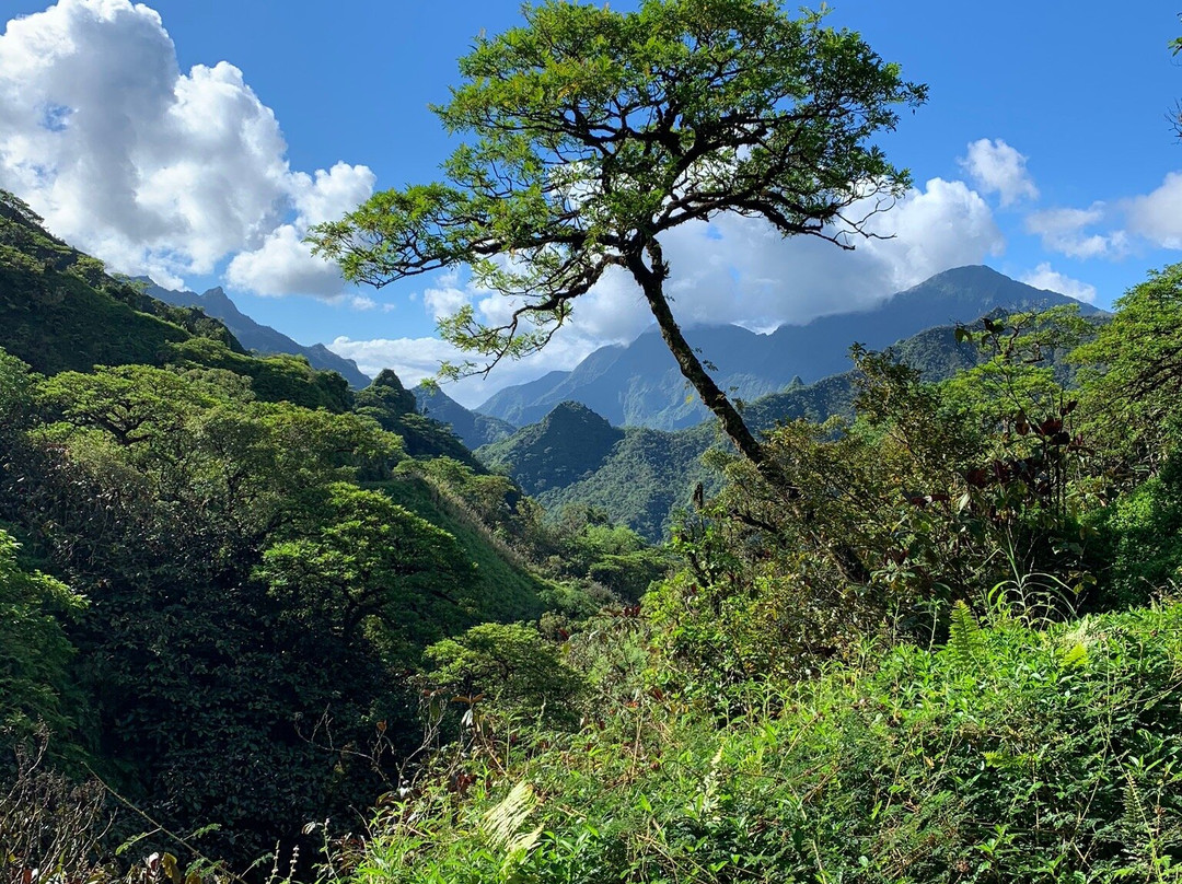 Tahiti Discovery景点图片
