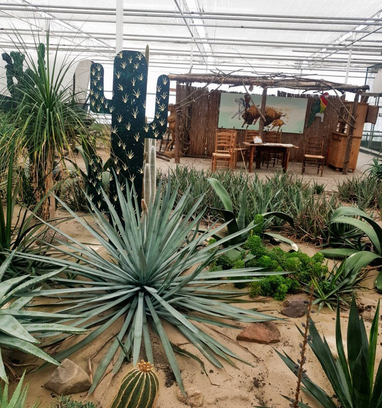 Experience Park Cactus Oasis景点图片