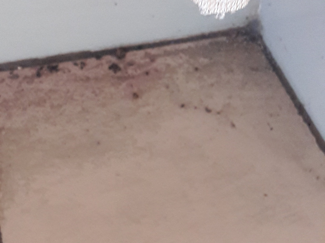 Iordan Guest House主图