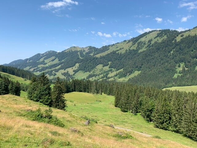 Gasthof Waelderhof主图