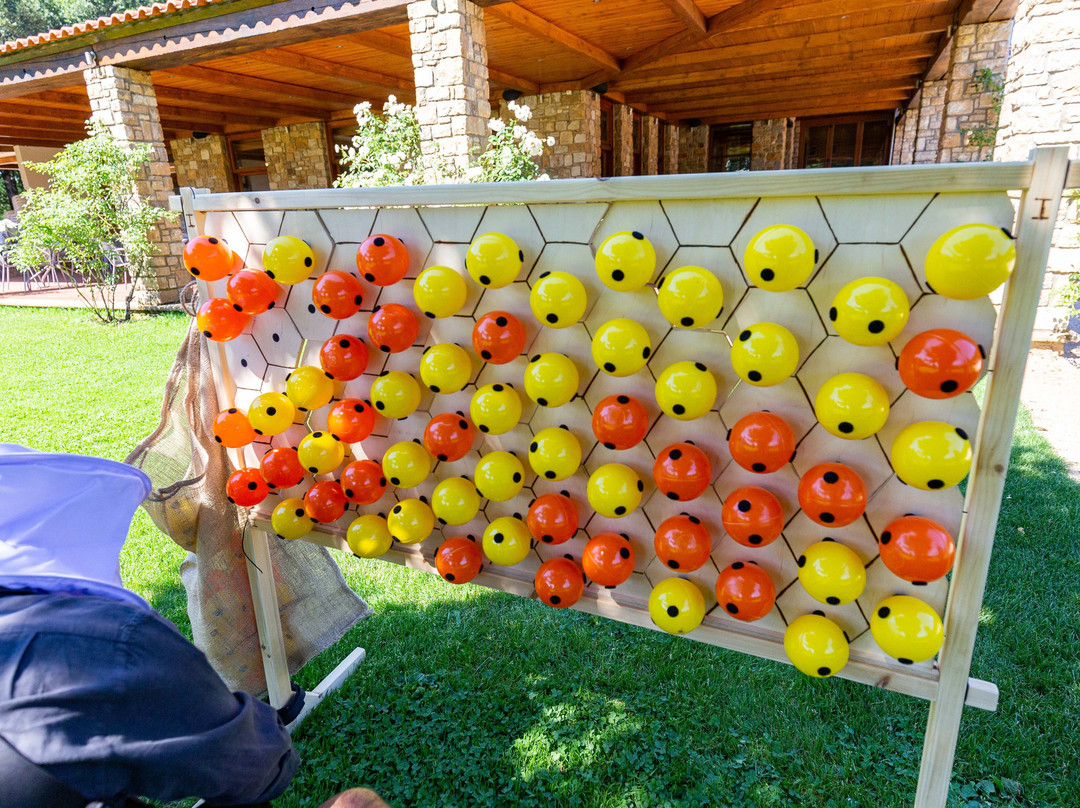 Hotel Apolimeni Petra主图