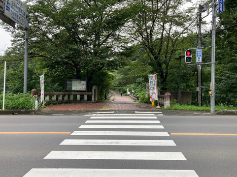 Kitamoto Nature Observation Park-北本市必去景点