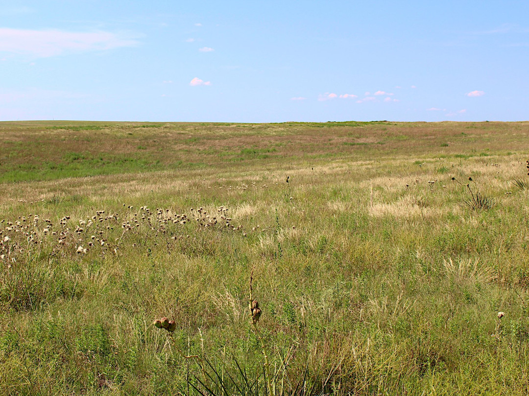 Santa Fe Trail Tracks-道奇城必去景点