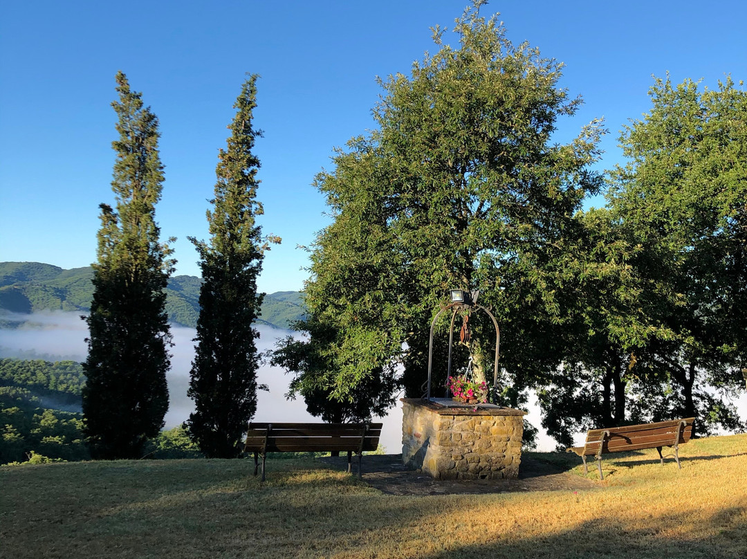 Agriturismo Badia Ficarolo主图