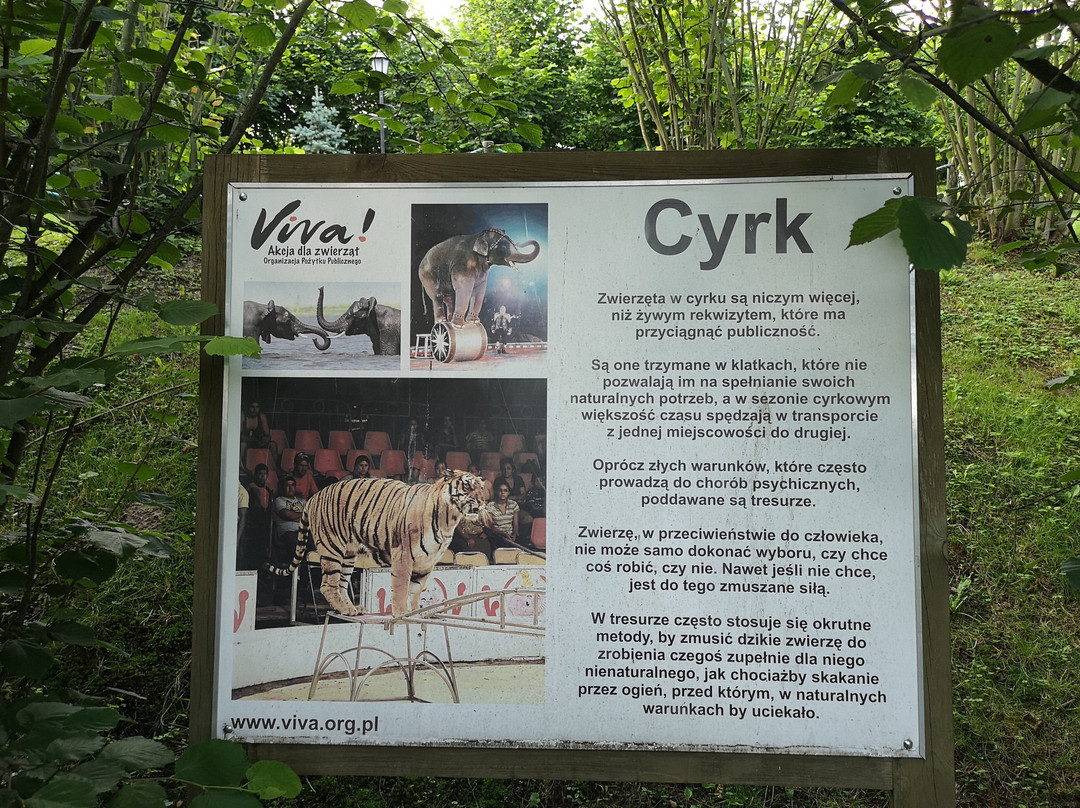 Dinopark Kolacinek景点图片