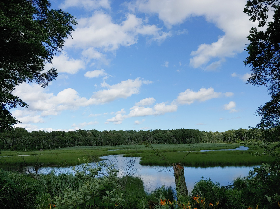 Lazy L At Willow Creek Bed & Breakfast主图