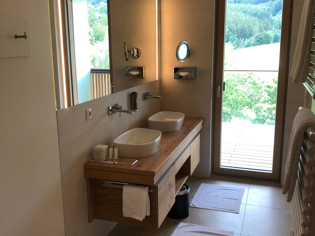 Dorfhotel Fasching主图