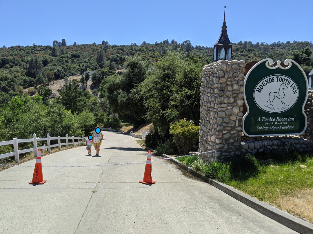 猎犬牙酒店主图