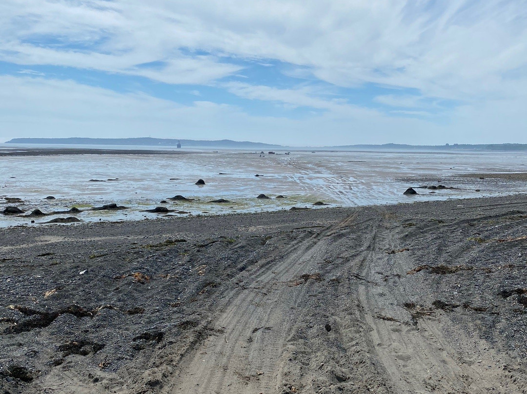 Mowry Beach Preserve景点图片