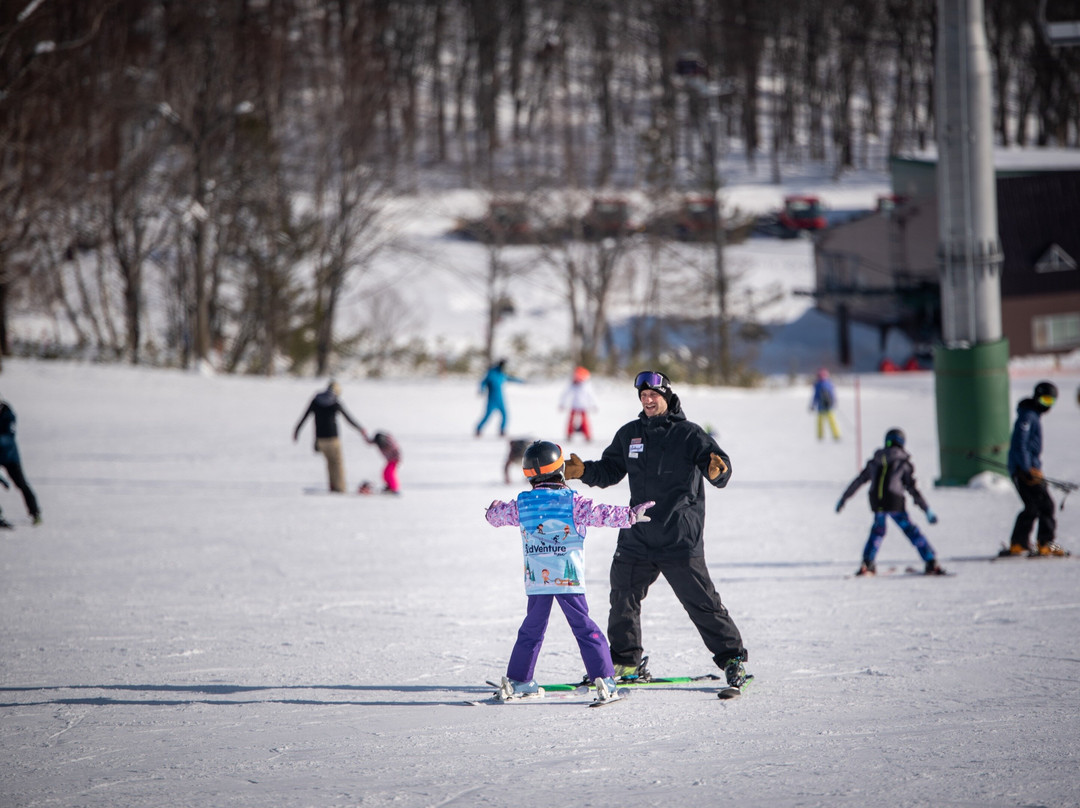 Elevate Snowsports-俱知安町必去景点