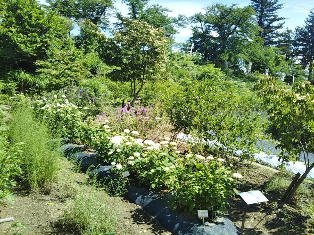 Okitama Park Herb Garden景点图片