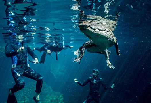 Freedive Utopia-图伦必去景点