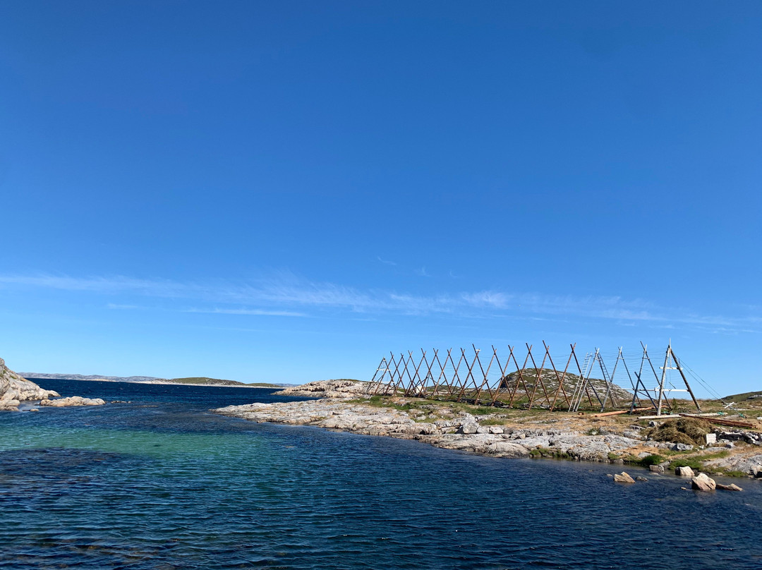 Salmon Center Rørvik景点图片