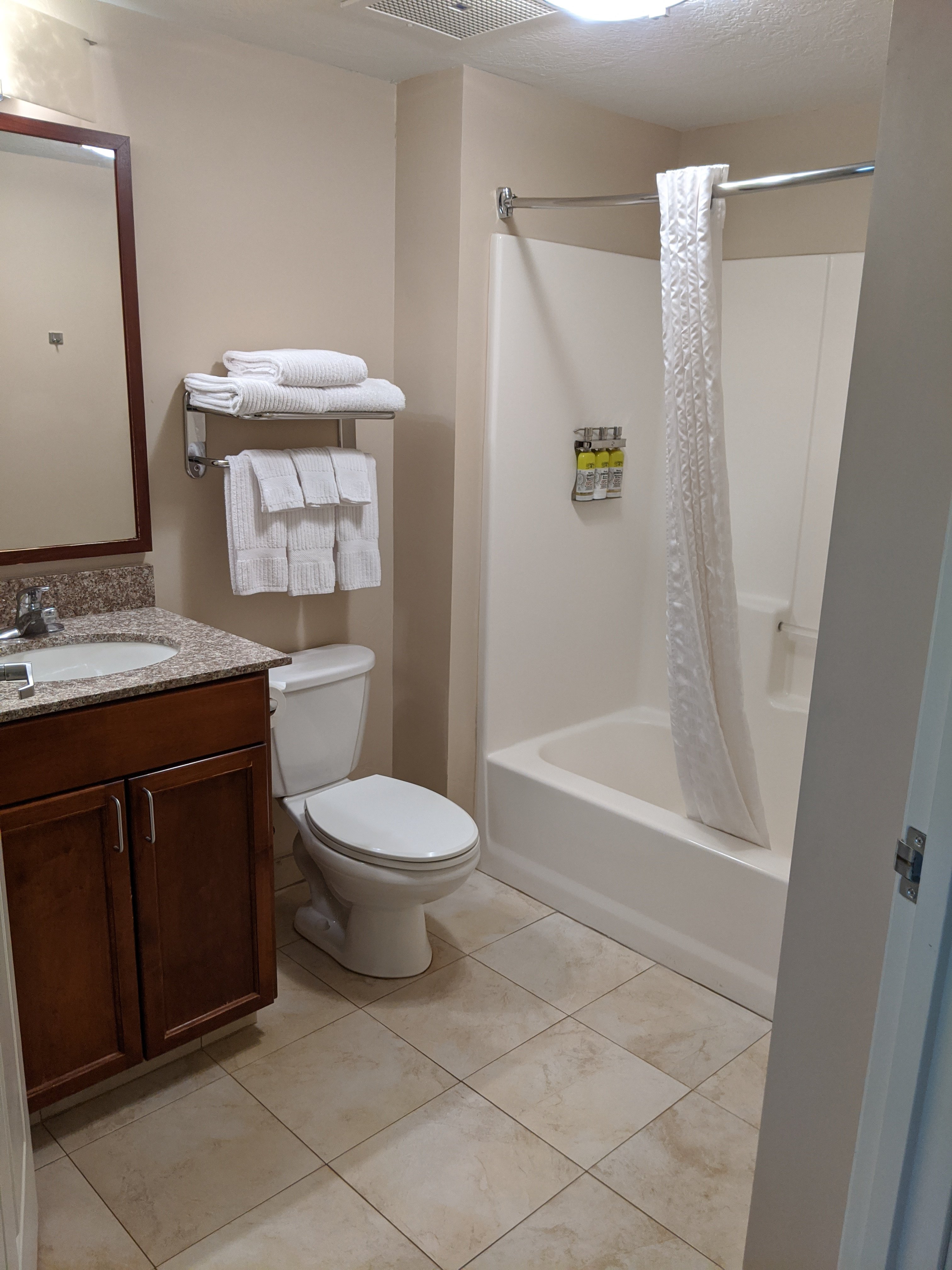 Candlewood Suites Boise-Meridian by IHG-浴室