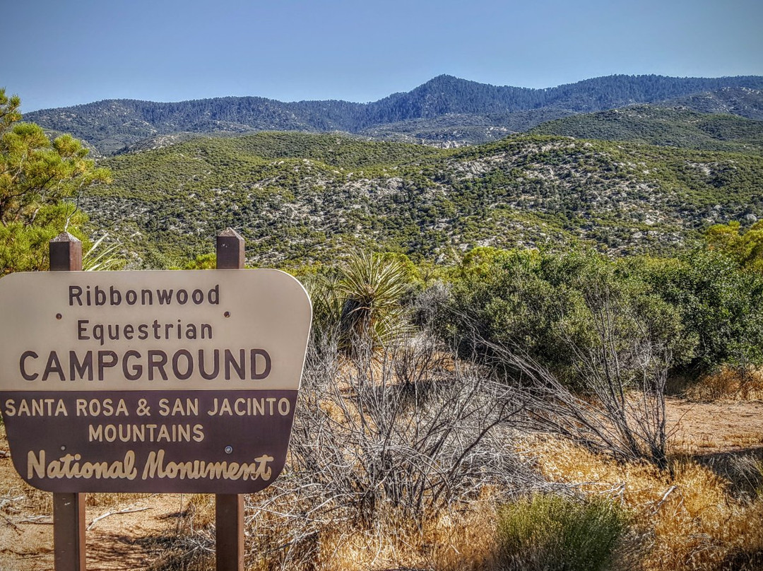 Santa Rosa & San Jacinto Mountains National Monument Visitor Center-棕榈沙漠必去景点