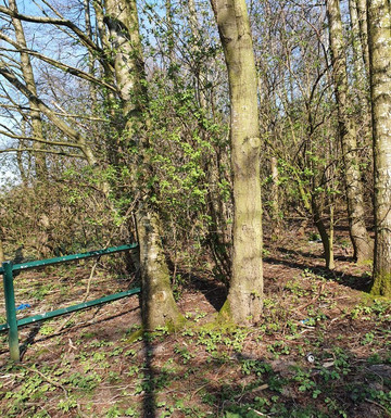 Kirkby Valley Greenway-Kirkby必去景点