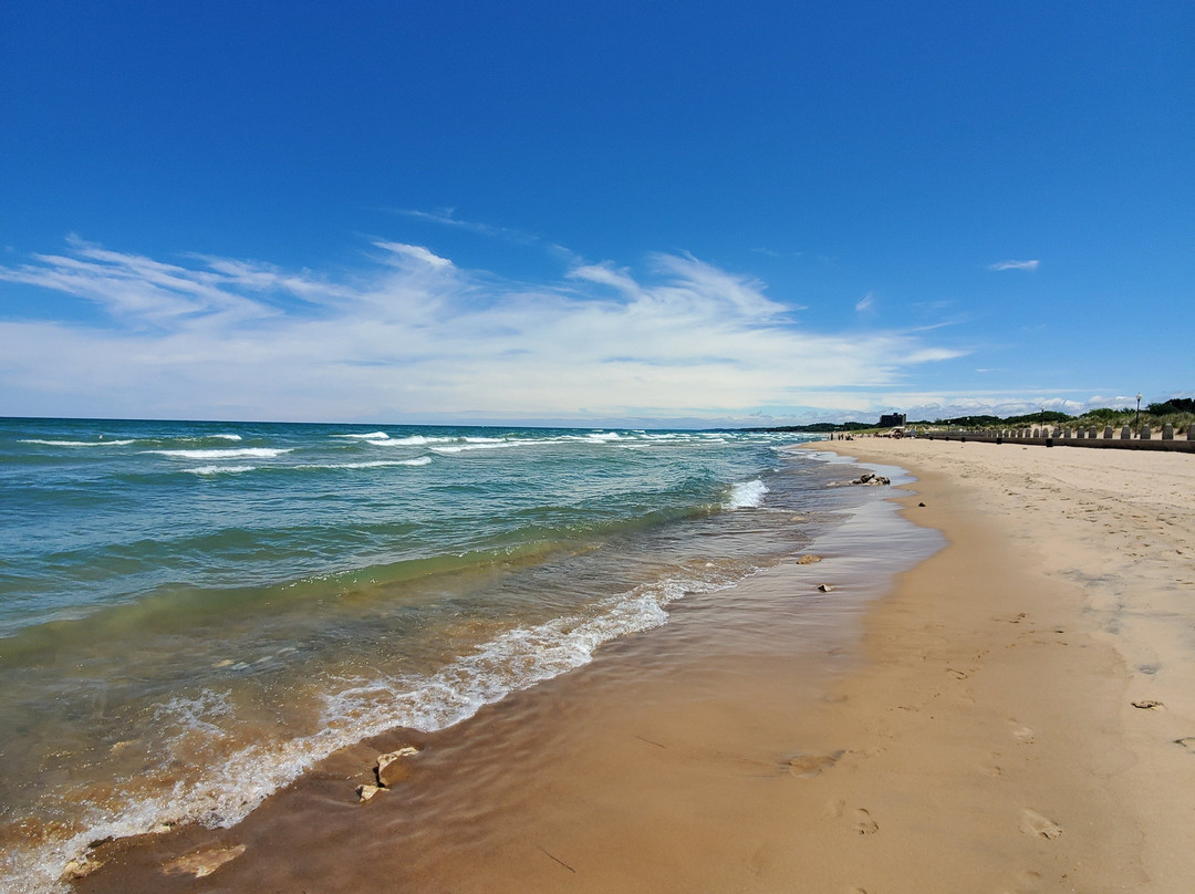 華盛頓公園-密歇根城必去景点