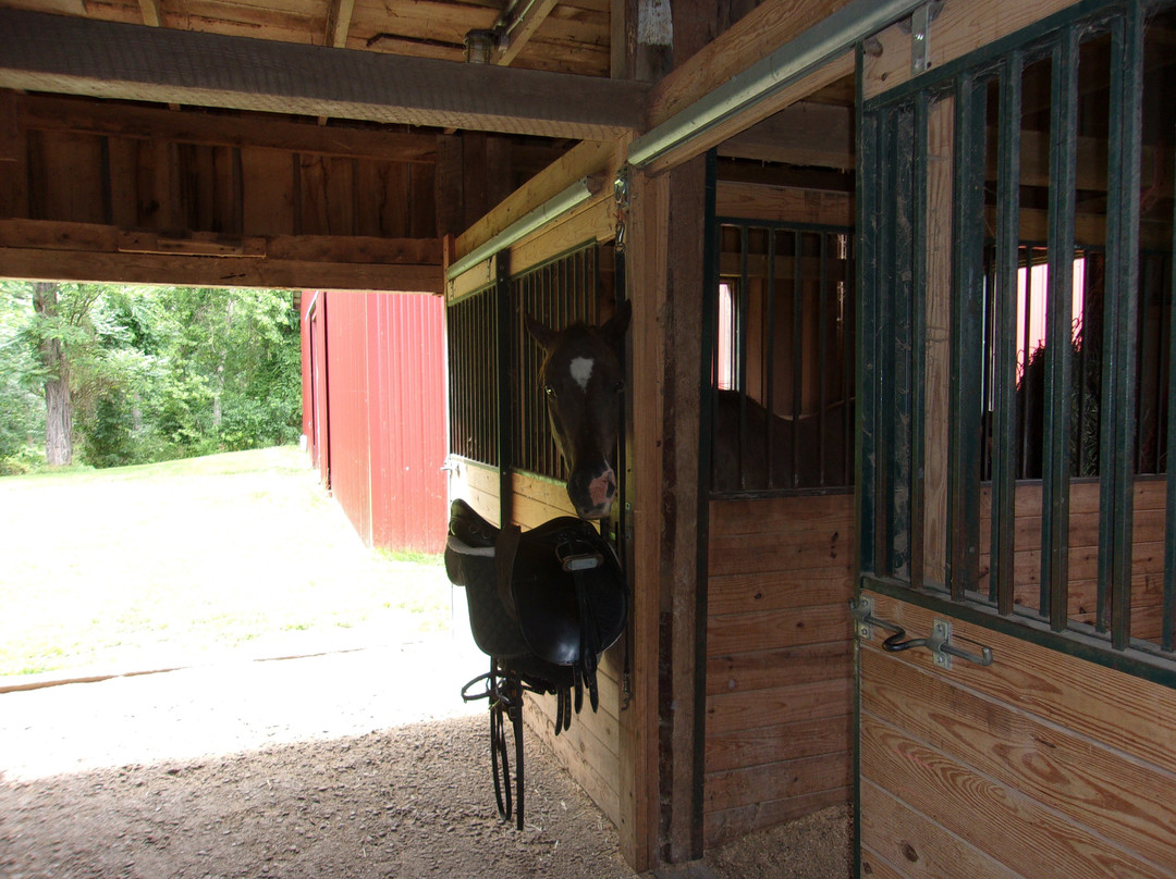 Royal Horseshoe Farm景点图片