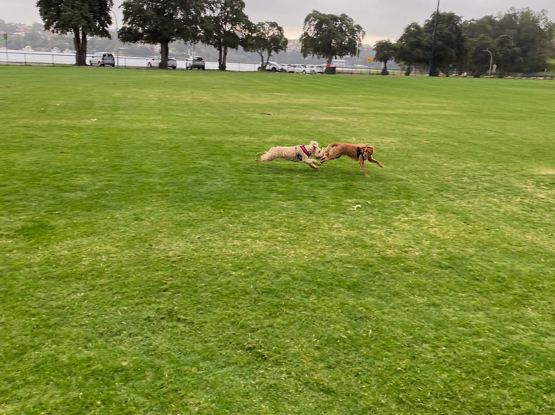 Callan Park-罗泽尔必去景点