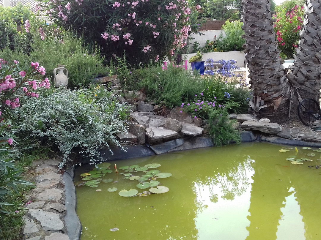 Au Jardin d'Amphora主图