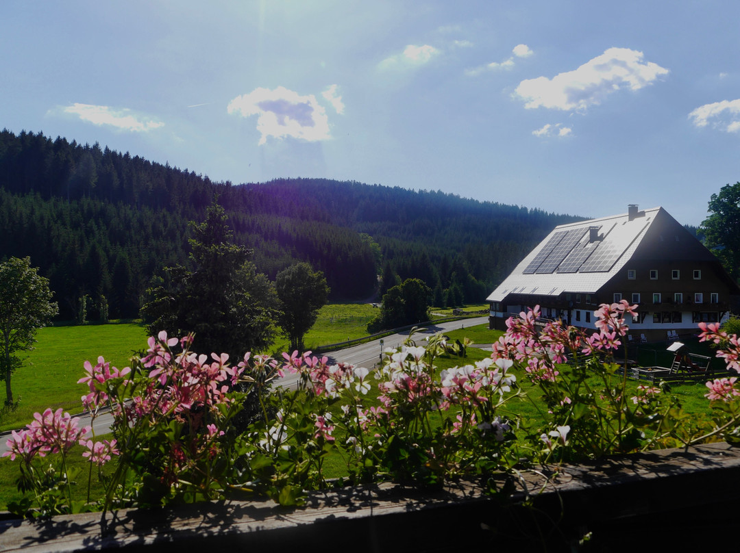 Landgasthof Jostalstuble主图
