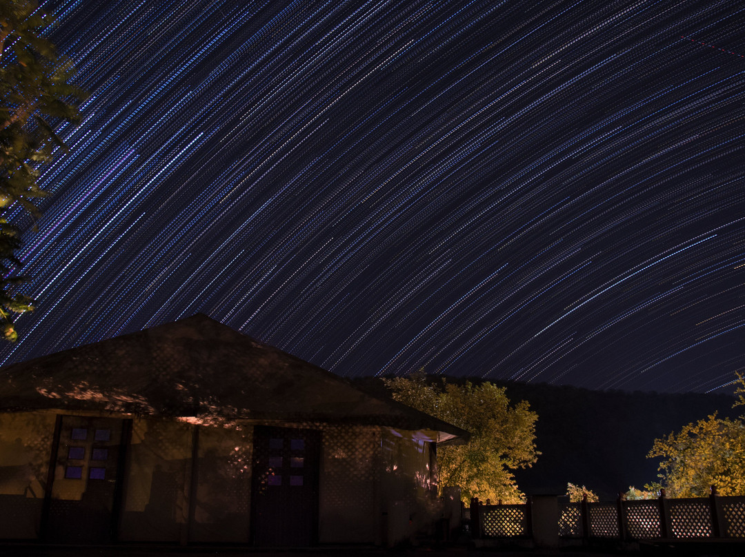 Sariska Tiger Heaven主图