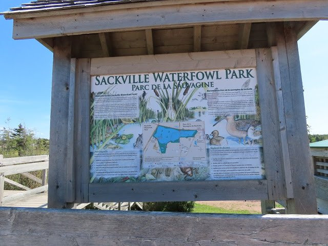 Sackville Waterfowl Park景点图片