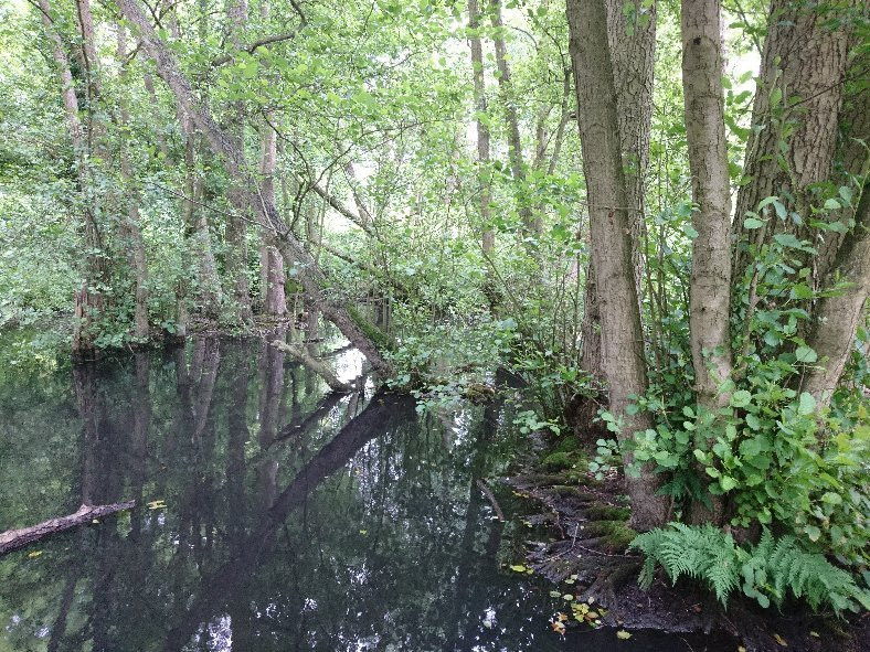 East Carlton Country Park-科比必去景点