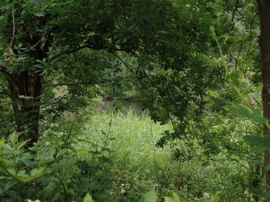 Elvaston Local Nature Reserve-Elvaston必去景点