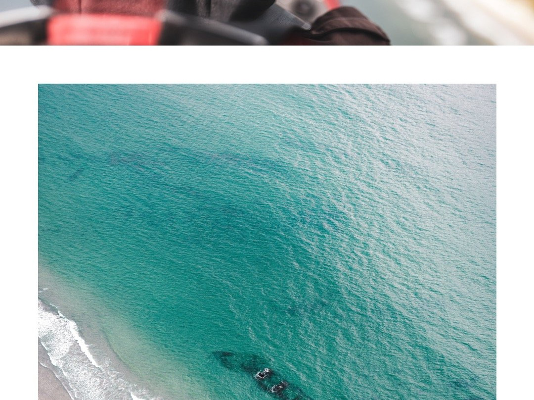 Byron Bay Gyrocopters景点图片