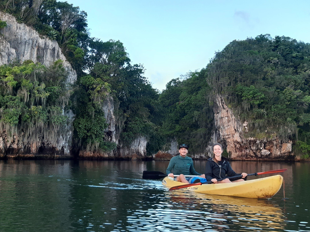 Whale Tours Samana-Sabana de la Mar必去景点