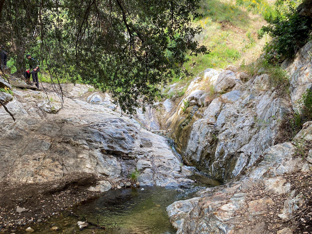 Placerita Canyon Nature Center景点图片