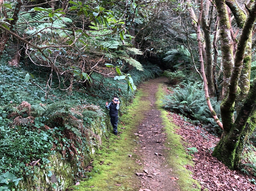 Pirianda Garden-奥林达必去景点