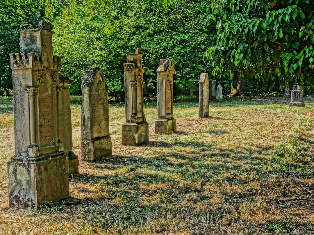 Judischer Friedhof auf dem Domberg-巴特索本海姆必去景点